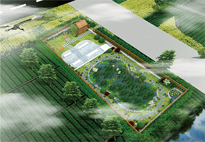 王江泾镇口袋公园